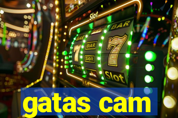 gatas cam